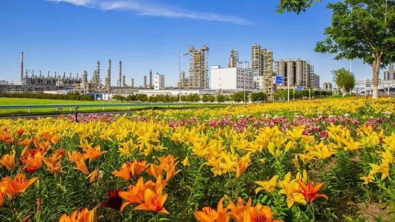 广州化工产品代理流程：合规之路的每一步解析